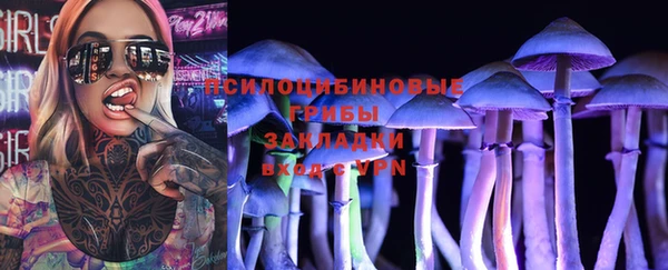 твердый Абаза
