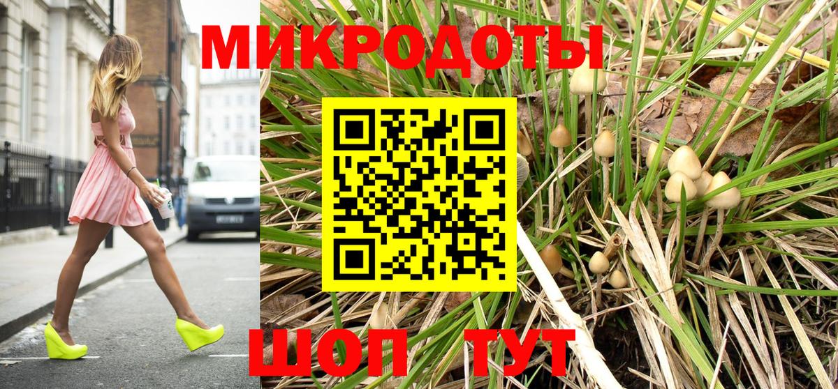 Псилоцибиновые грибы мицелий Заринск